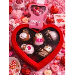 Spritz Valentine Felt Bird Set Target Exclusive Collectible Heart Box Décor NEW